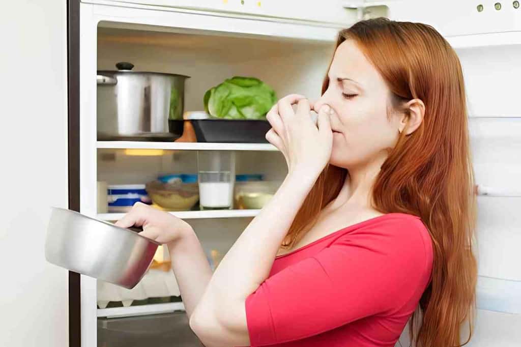 Tanda-Tanda Makanan Sudah Basi: Cara Mengenali & Mencegah Keracunan MBG